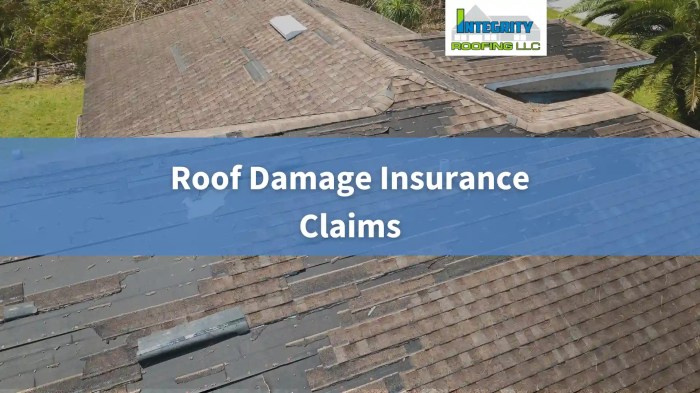 Roof Damage Insurance Claims | Free Inspection